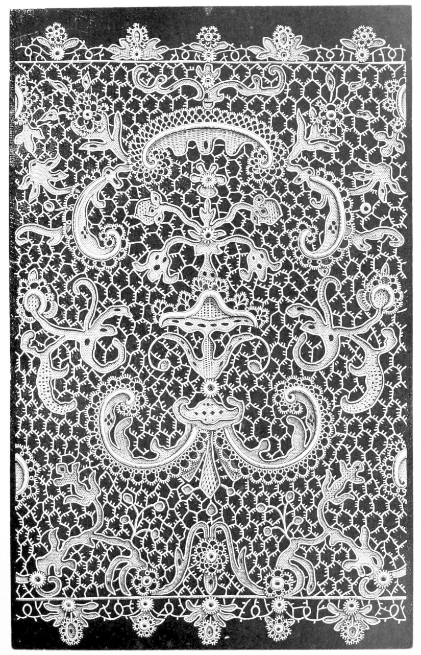 Lace featuring bristly connecting threads Lace featuring bristly connecting threads