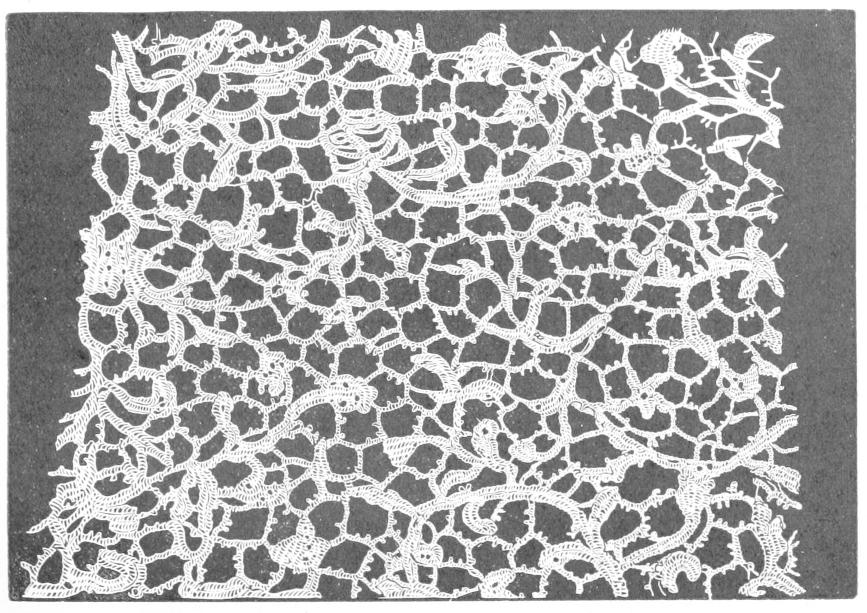Lace with large polygonal voids Lace with large polygonal voids