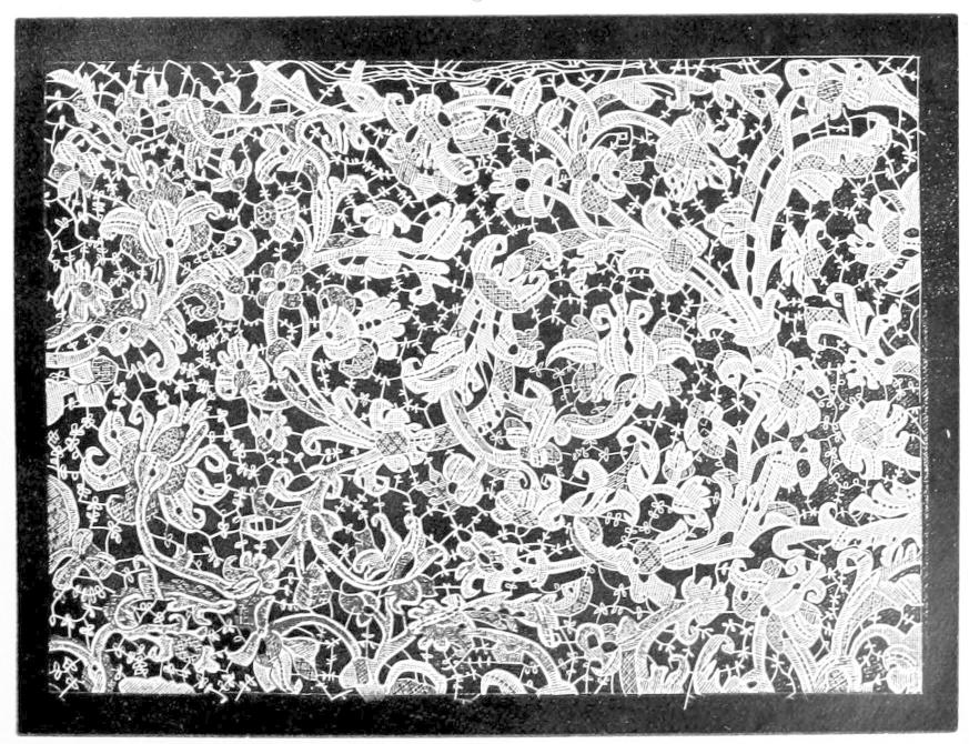 Lace with broad sinuous plant stems Lace with broad sinuous plant stems