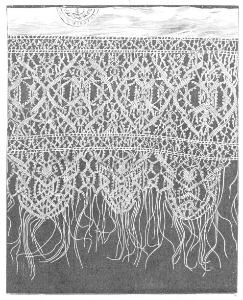 Border with loose threads at edge Border with loose threads at edge
