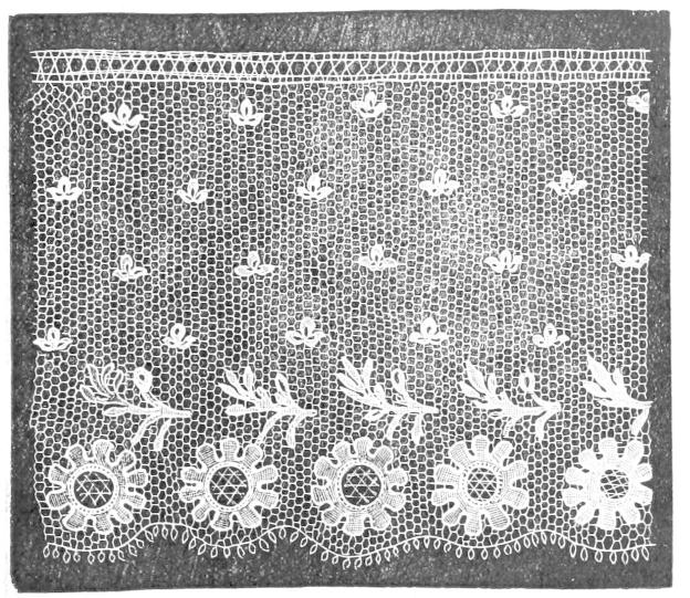 Lace with daisy-like flowers Lace with daisy-like flowers