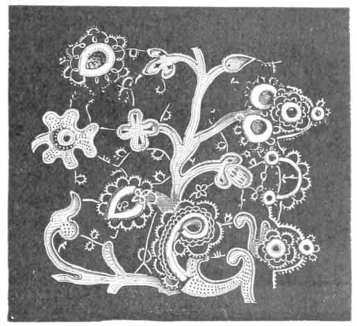 Lace flowering plant with no ground net Lace flowering plant with no ground net
