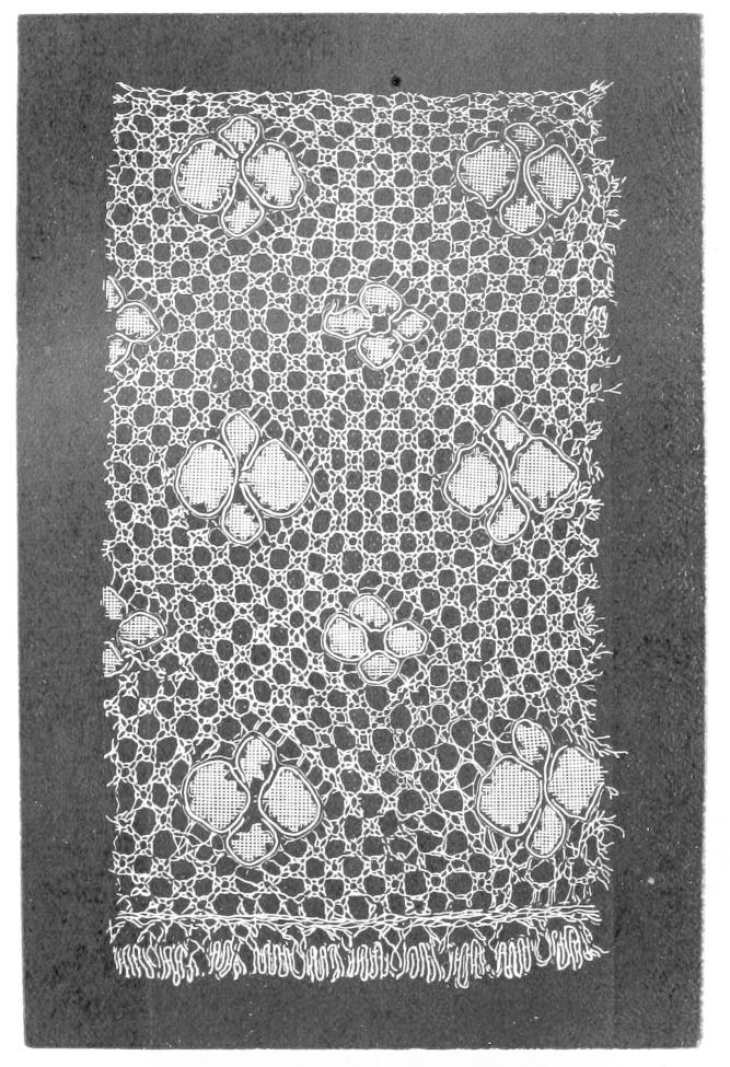 Lace with checkered ground Lace with checkered ground