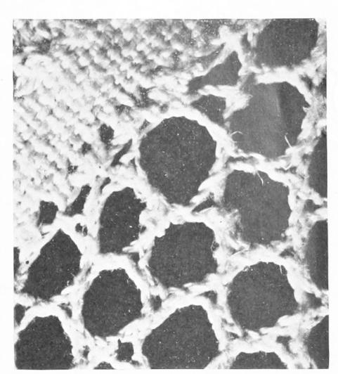 Detail of Lace network Detail of Lace network