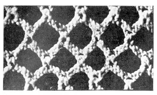 Detail of Lace with broad edged rhombi Detail of Lace with broad edged rhombi