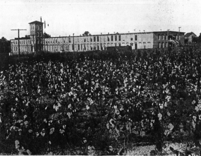 A Southern Cotton Mill in a Cotton Field A Southern Cotton Mill in a Cotton Field