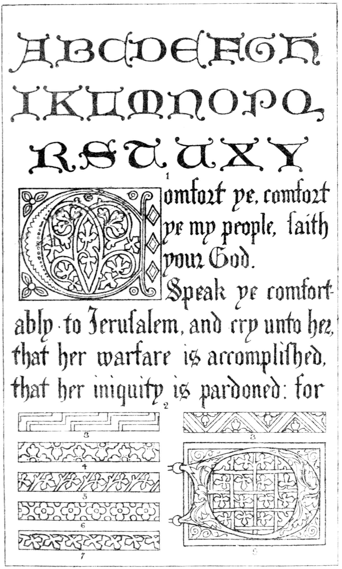 Plate XII