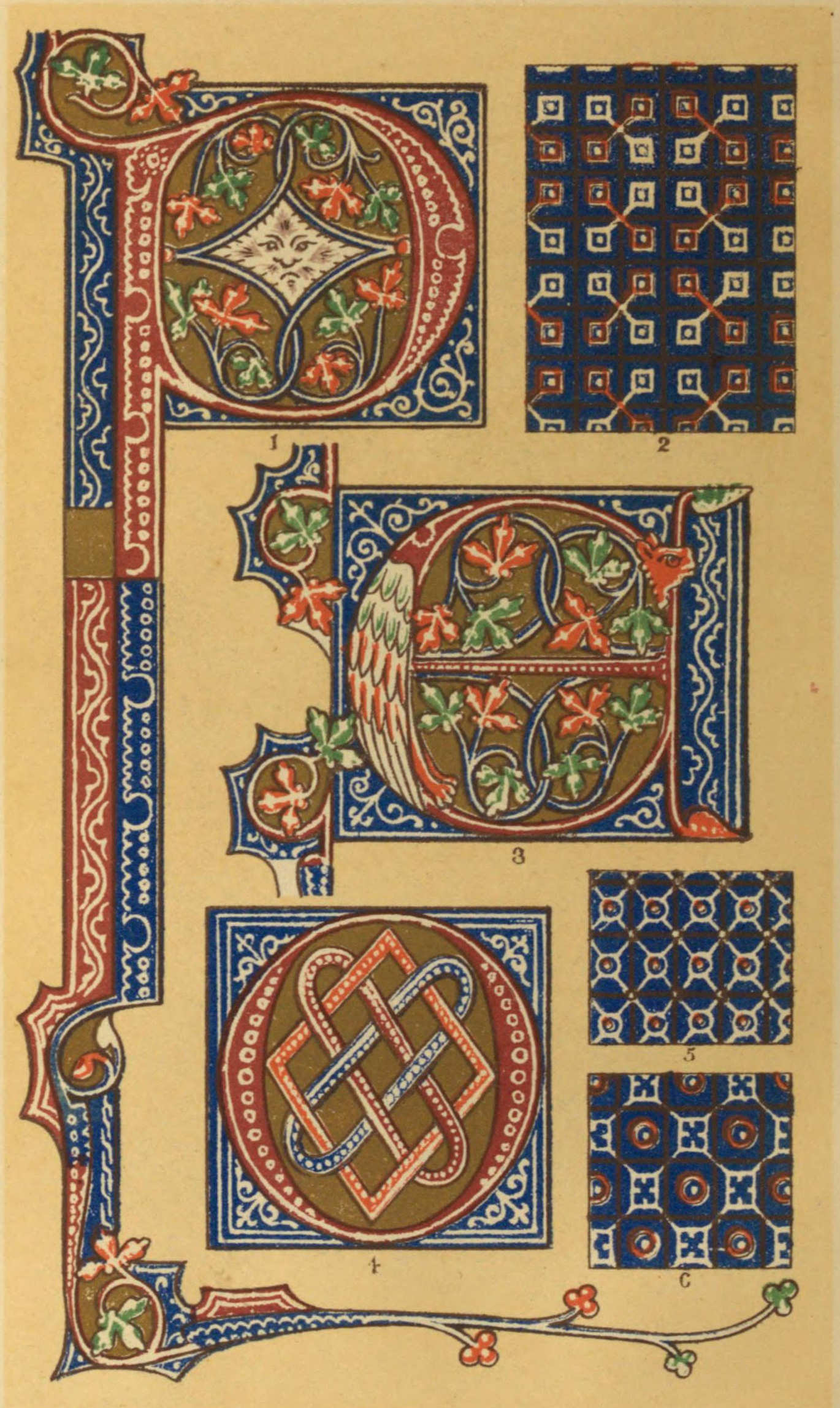 Plate VIII