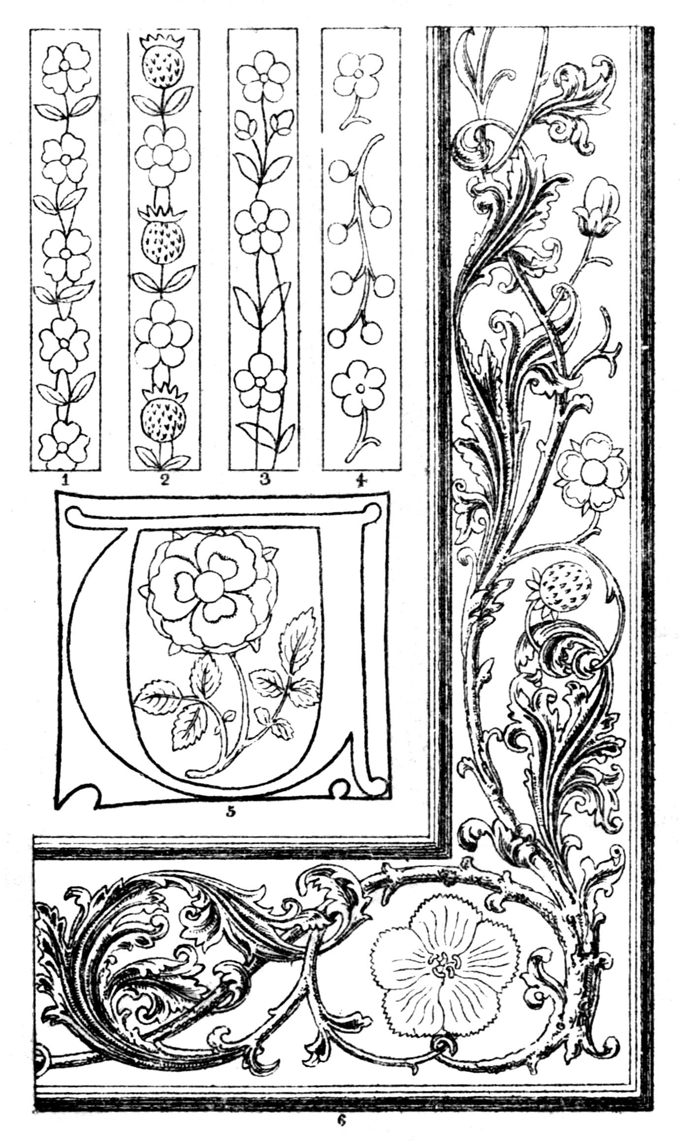 Plate XII