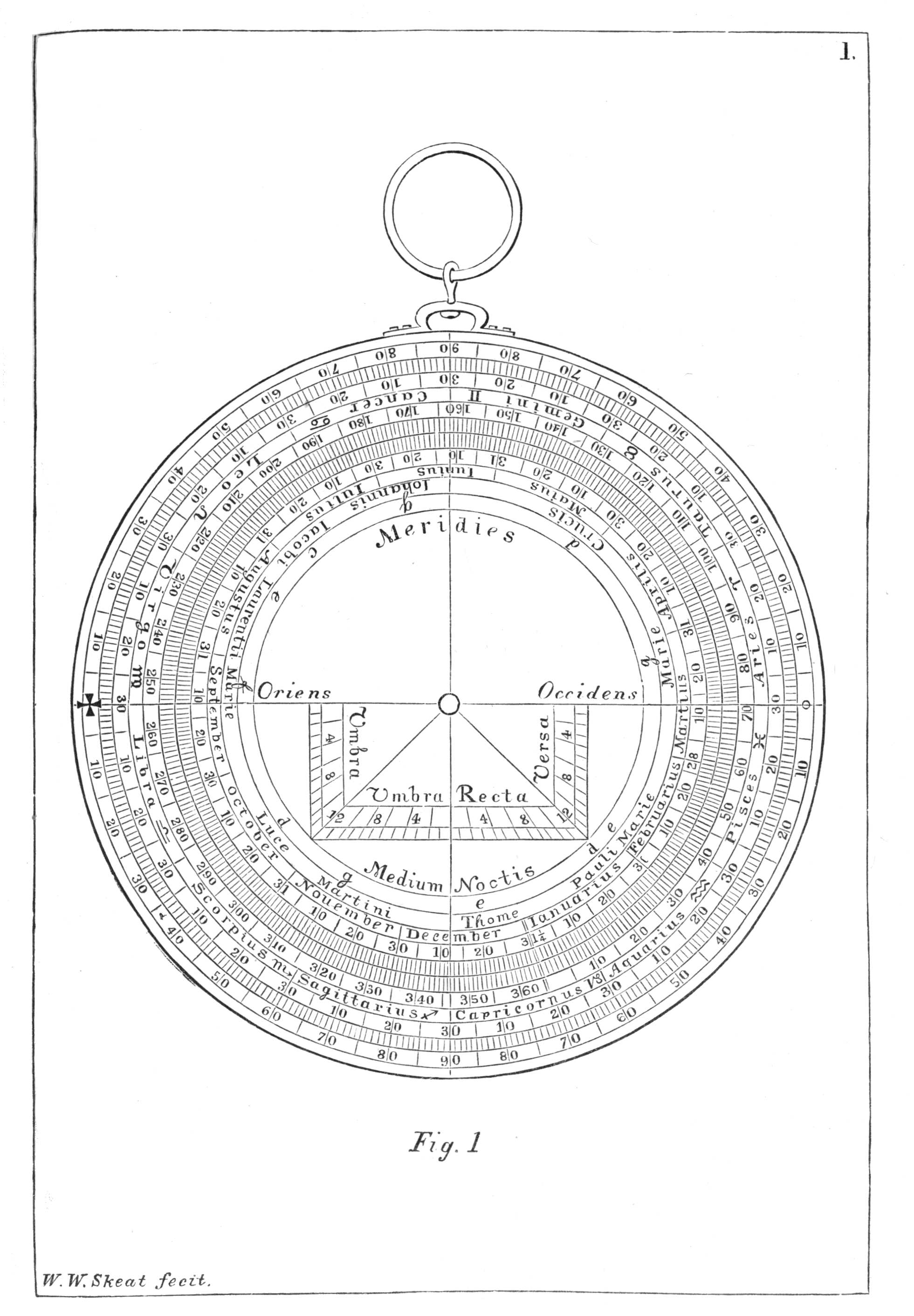 Plate I