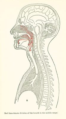 Plate B Plate B