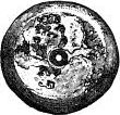 shell bead, front