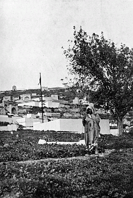 A MOHAMMEDAN CEMETERY. A MOHAMMEDAN CEMETERY.
