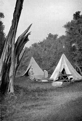 OUR CAMP AT AIN-EL-HADGER. OUR CAMP AT AIN-EL-HADGER.