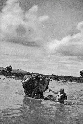TRANSPORTING OUR BAGGAGE. TRANSPORTING OUR BAGGAGE.