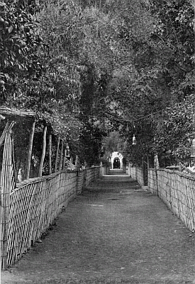 THE SULTAN'S GARDEN. THE SULTAN'S GARDEN.