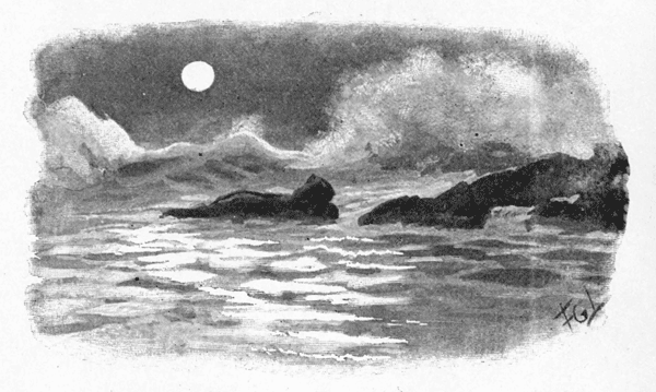 MOONLIGHT. MOONLIGHT.