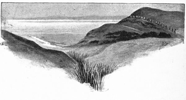 MOORLAND NEAR THE SEA. MOORLAND NEAR THE SEA.