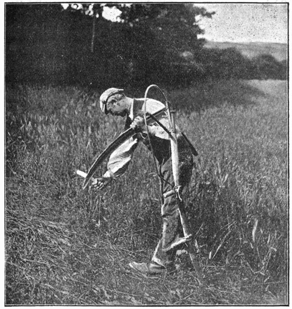 A WEST COUNTRY REAPER. A WEST COUNTRY REAPER.