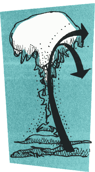 Illustration: 