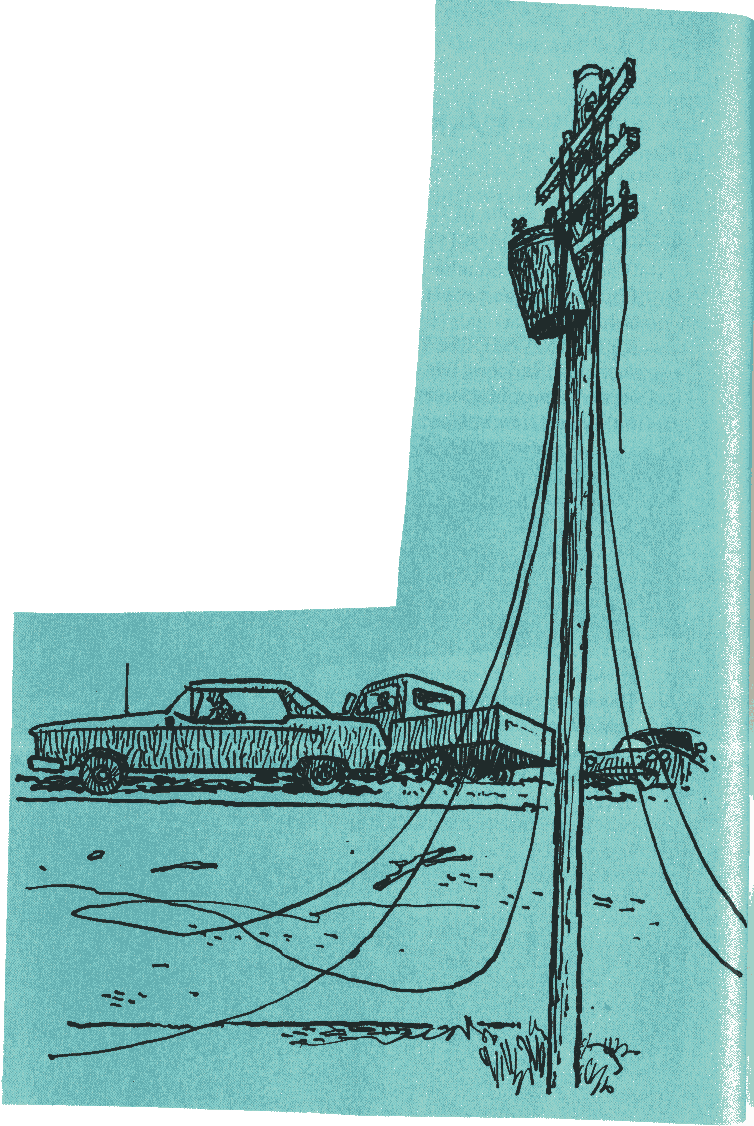 Illustration: 