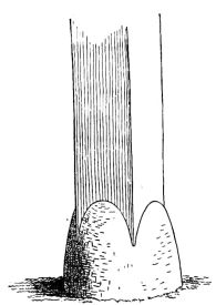 Fig. 6.—Foundation Stones.