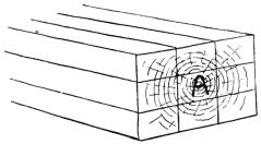 Fig. 16.—Method of Cutting Timber for House-Finish.