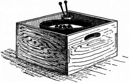 Fig. 197.—Common hibachi.