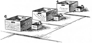 Fig. 200.—Hibachi arranged for company.