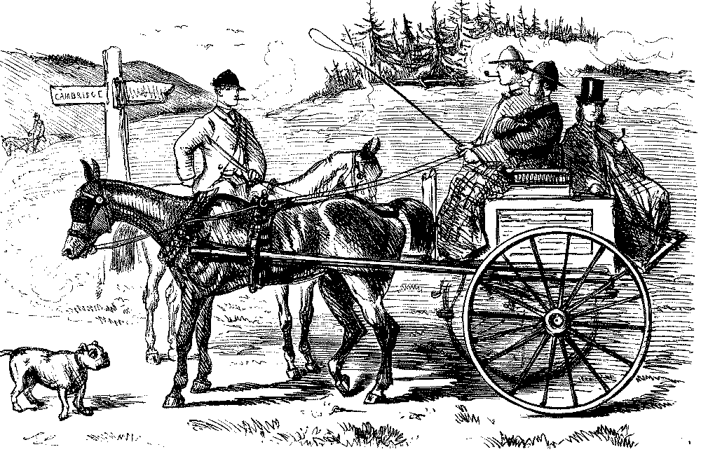 Carriage carrying three people.