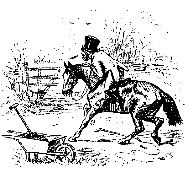 Shying horse.