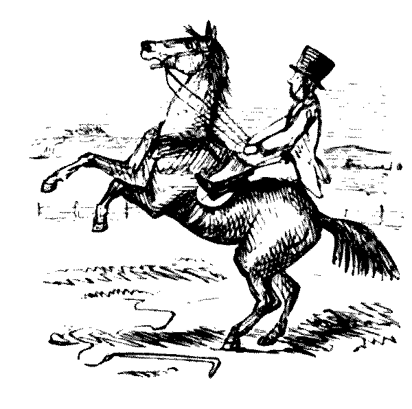 Rearing horse.
