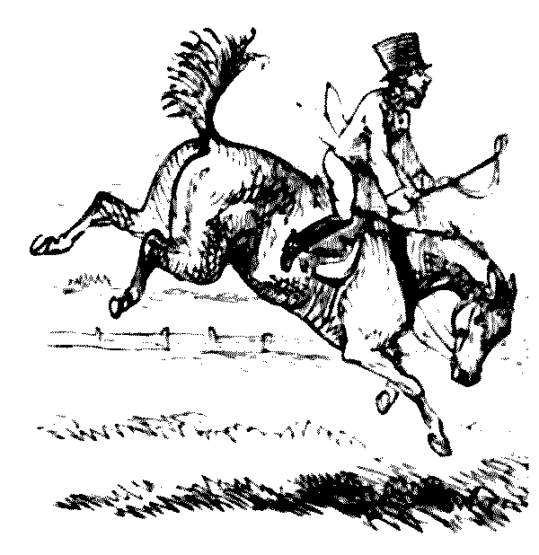 Bucking horse.