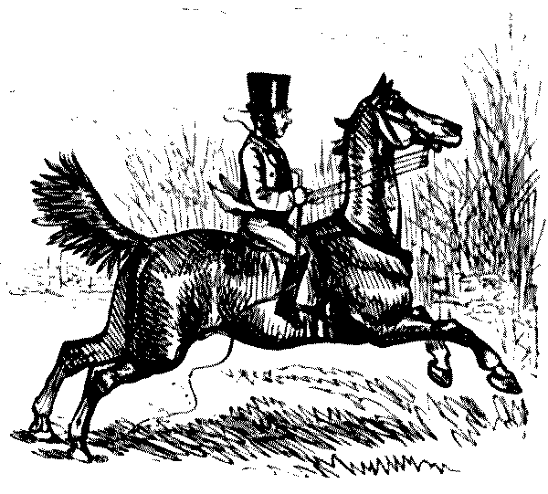 Horse in full flight.