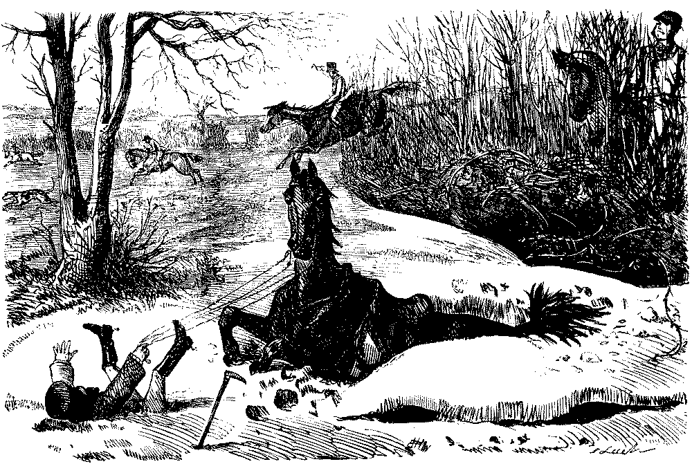 Horse falls, throws rider.