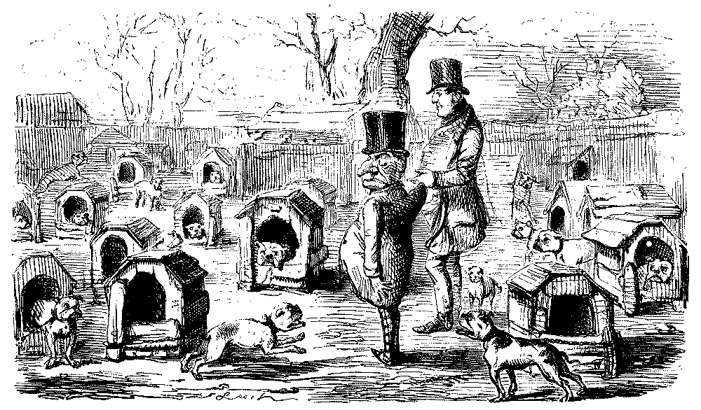 Disgruntled Mr. Punch surrounde by dogs.