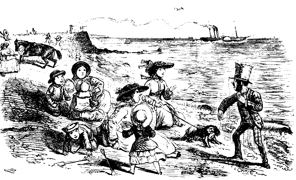 Mr. N. on foot with horse fleeing.