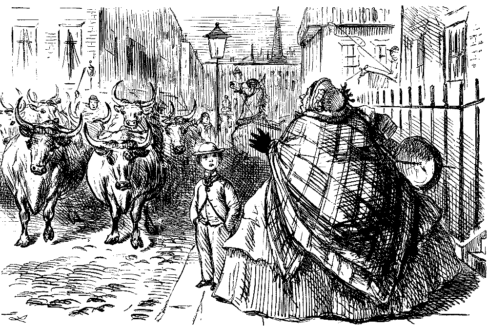 Boy speaking to large lady facing an approaching herd of cattle