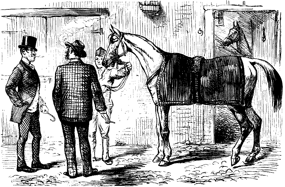 Vet. checking out a horse.
