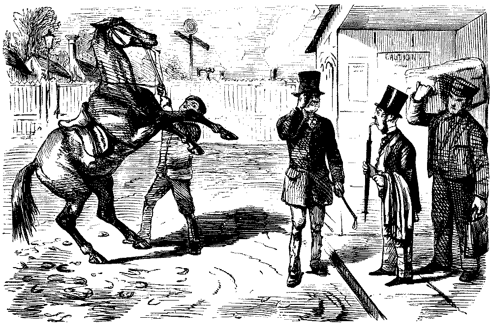 Man looking at a frisky horse.