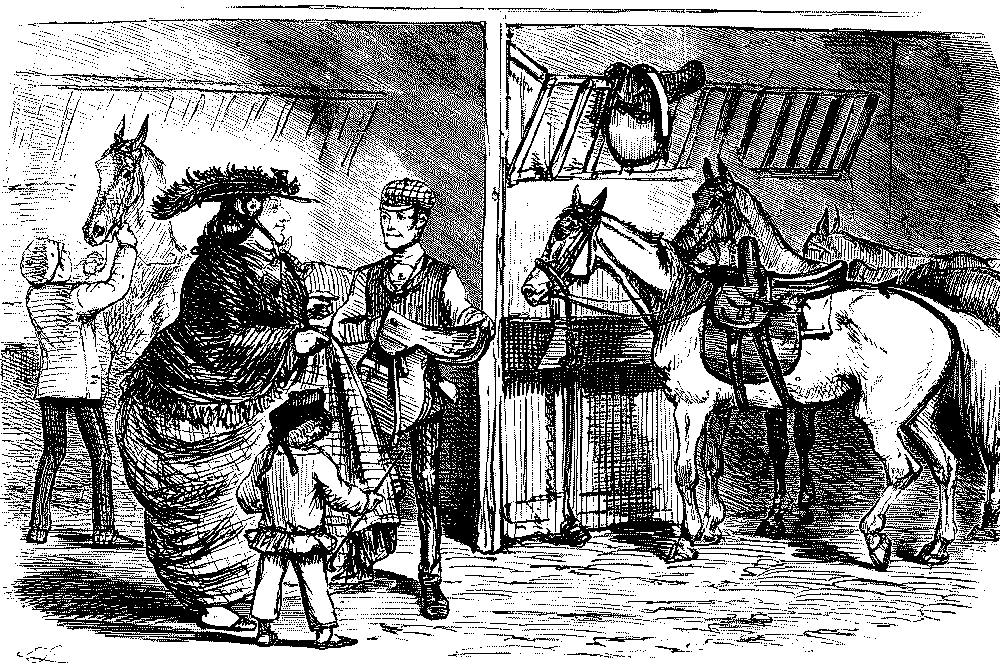 Very large lady wanting to ride a horse.
