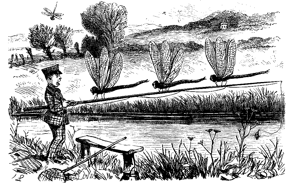 Boy with giant dragonflies on his fishing rod.