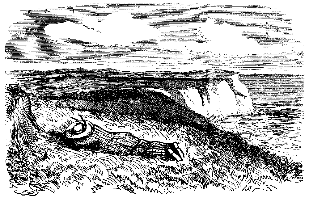 Man relaxing on cliff top.