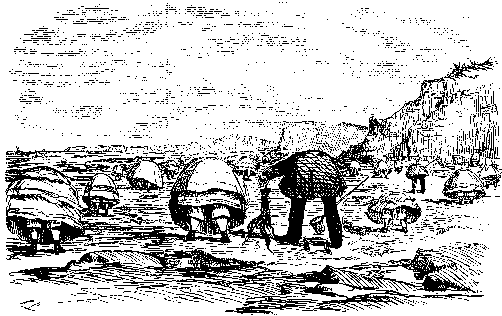 Rear view of group of beachcombers .