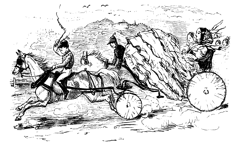 Woman sheltering behind crinoline whilst in a carraige.