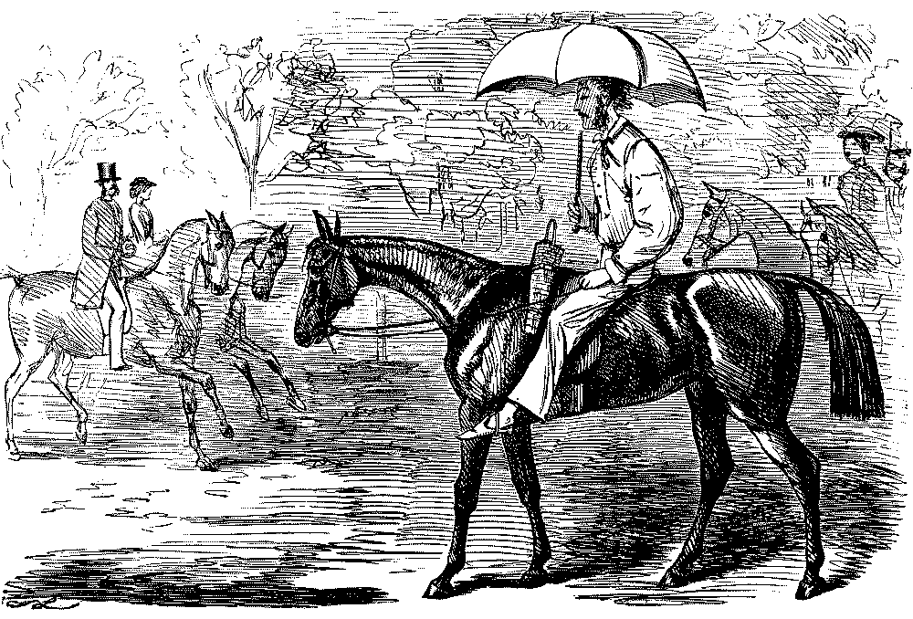 Casually dressed rider riding a horse whilst using a parasol.