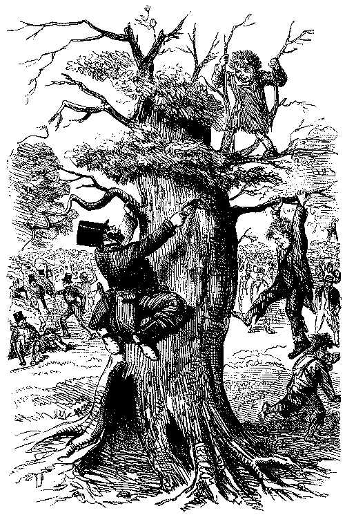 Man climbing tree.