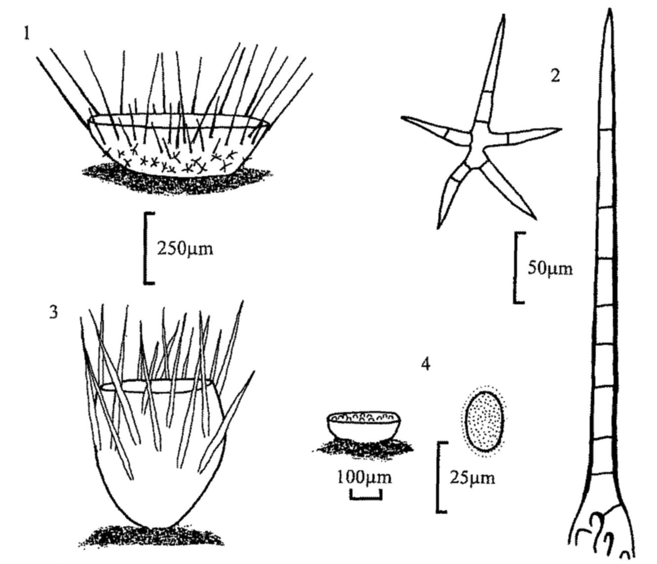 Figures 1-4