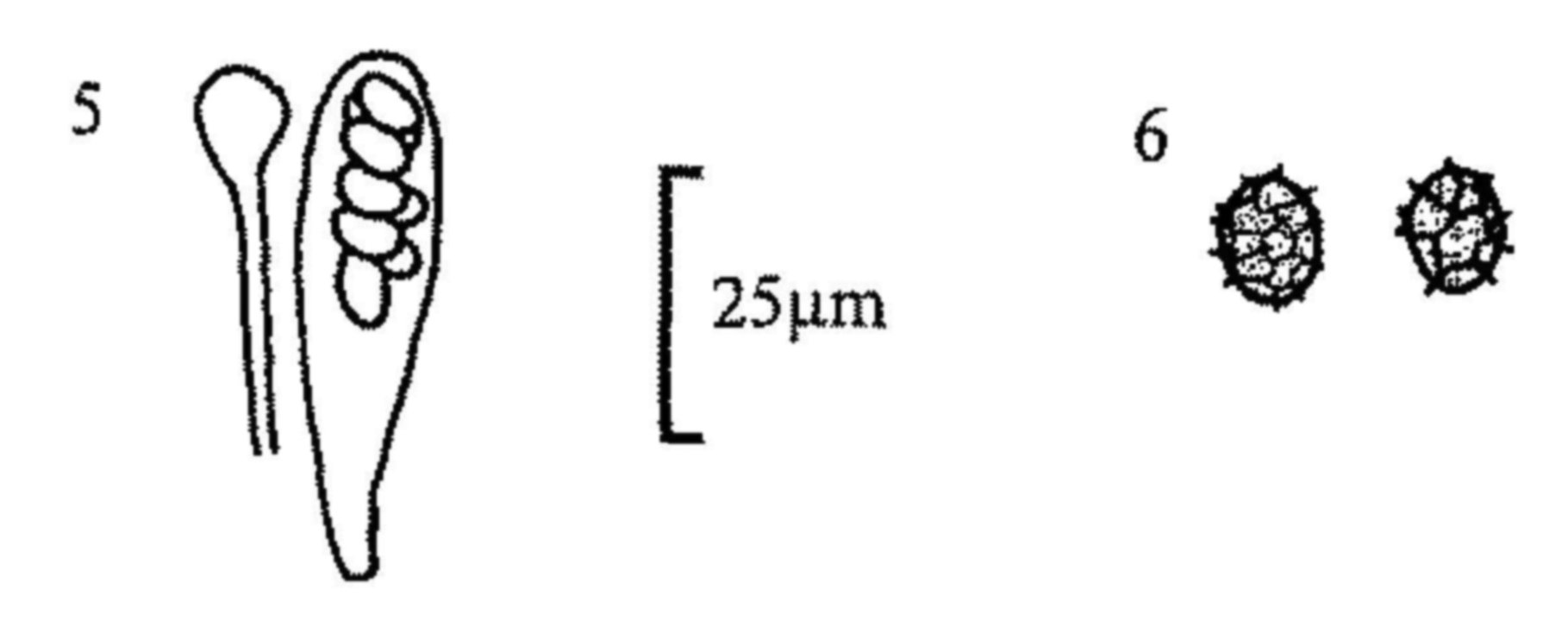 Figures 5-6 Figures 5-6