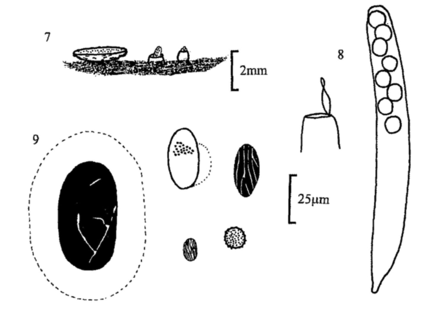Figures 7-9